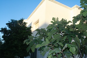 Vente Maisons - Tunisie