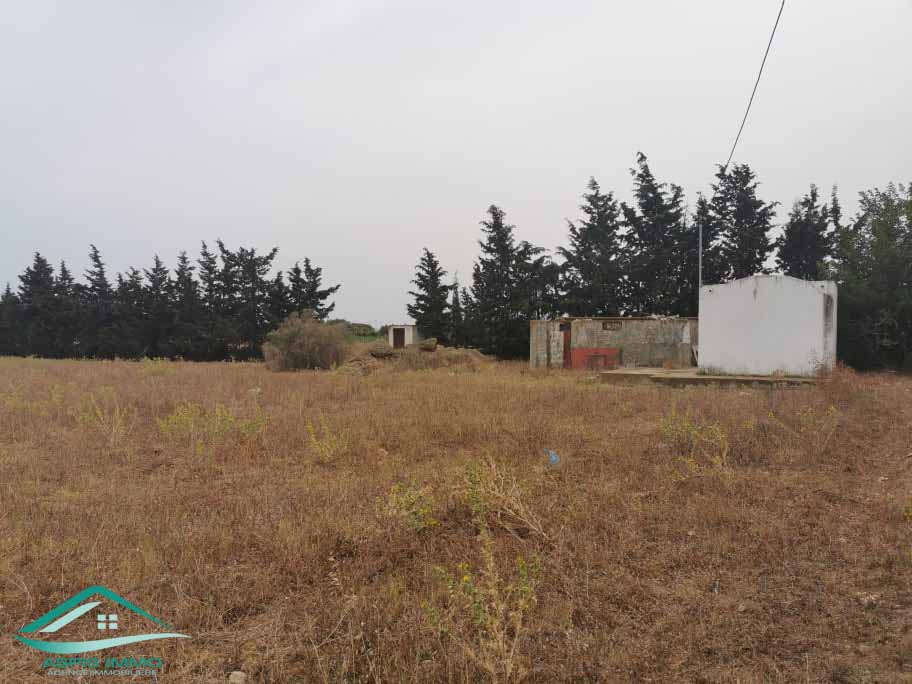 Vente Surfaces - Tunisie