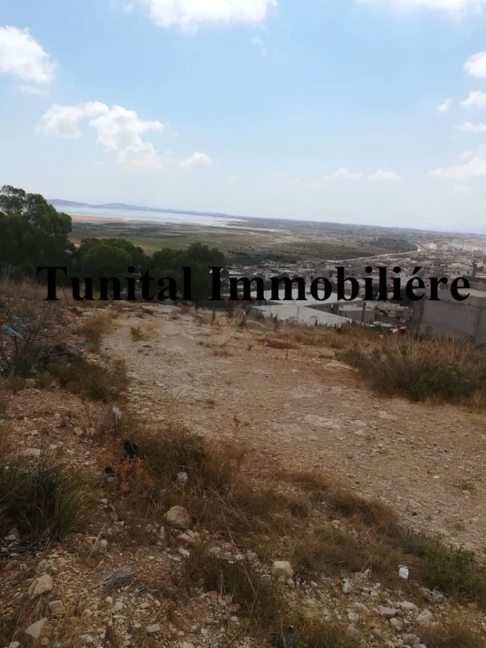 Raoued Raoued Vente Surfaces Des lots des terrains raouad jaafer ariana