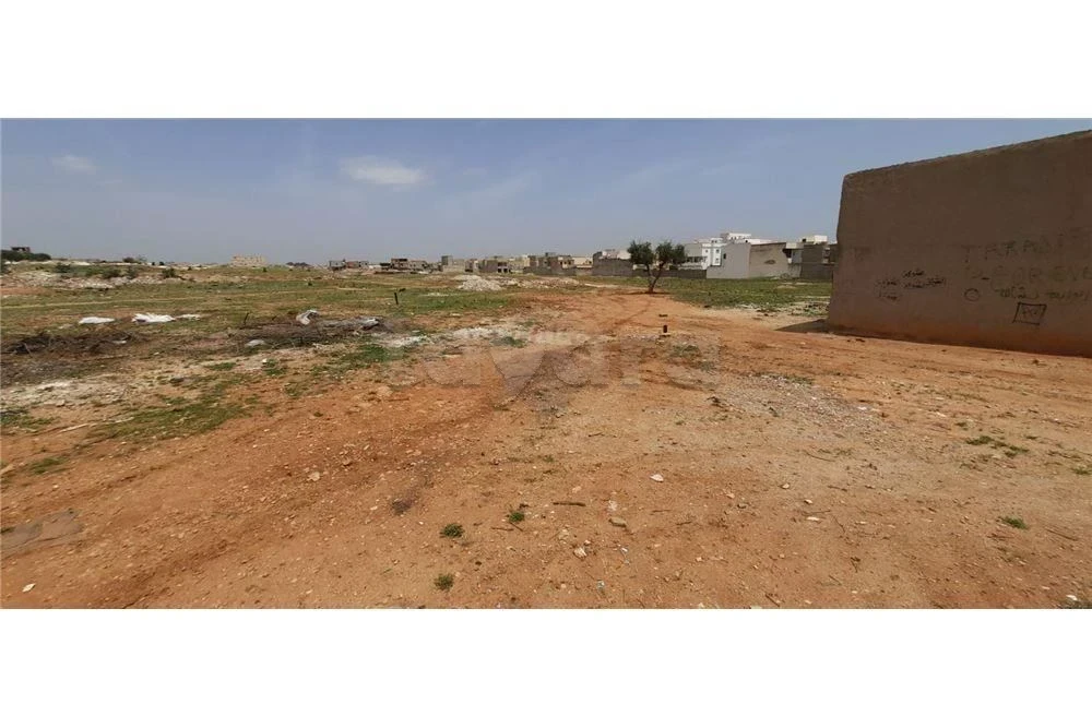Vente Surfaces - Tunisie