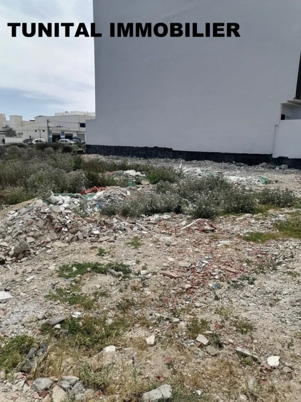 Vente Surfaces - Tunisie