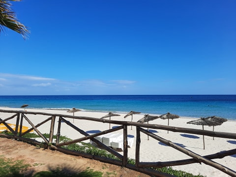 Vente Appart. 2 pices - Tunisie