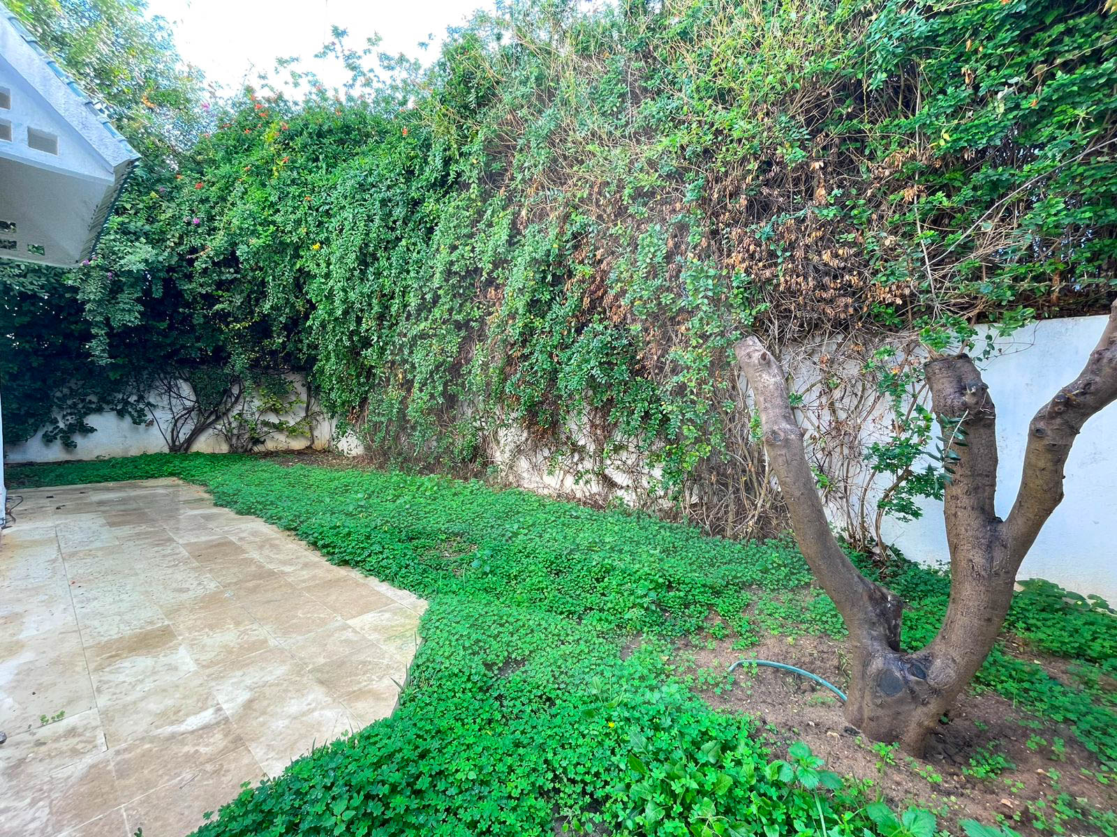 Vente Duplex - Tunisie