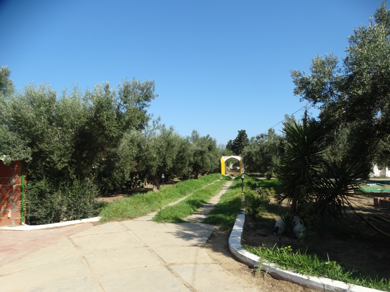 Vente Maisons - Tunisie