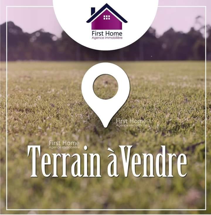 Vente Surfaces - Tunisie