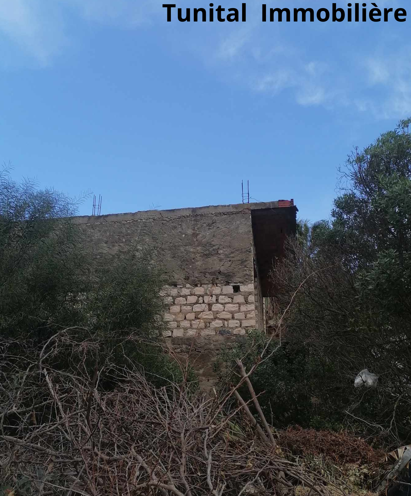 La Marsa Gammart Vente Autre Gammarth suprieur ct caf journal un terrain