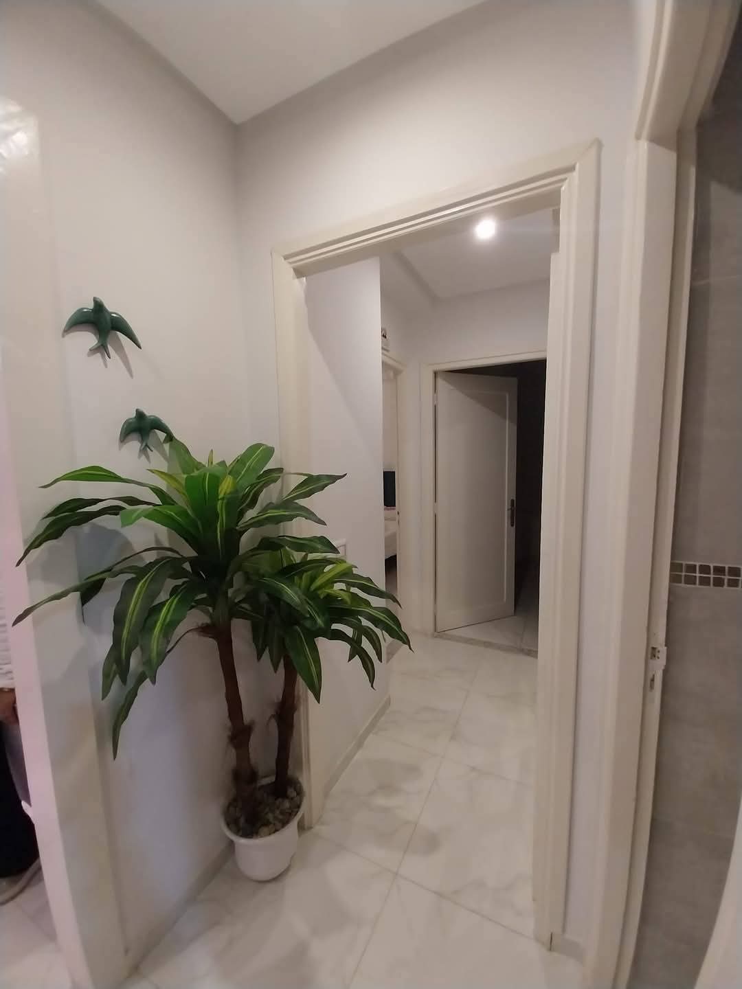 Ariana Ville El Menzah 7 Vente Appart. 3 pices S2 212 md renove menzah 7