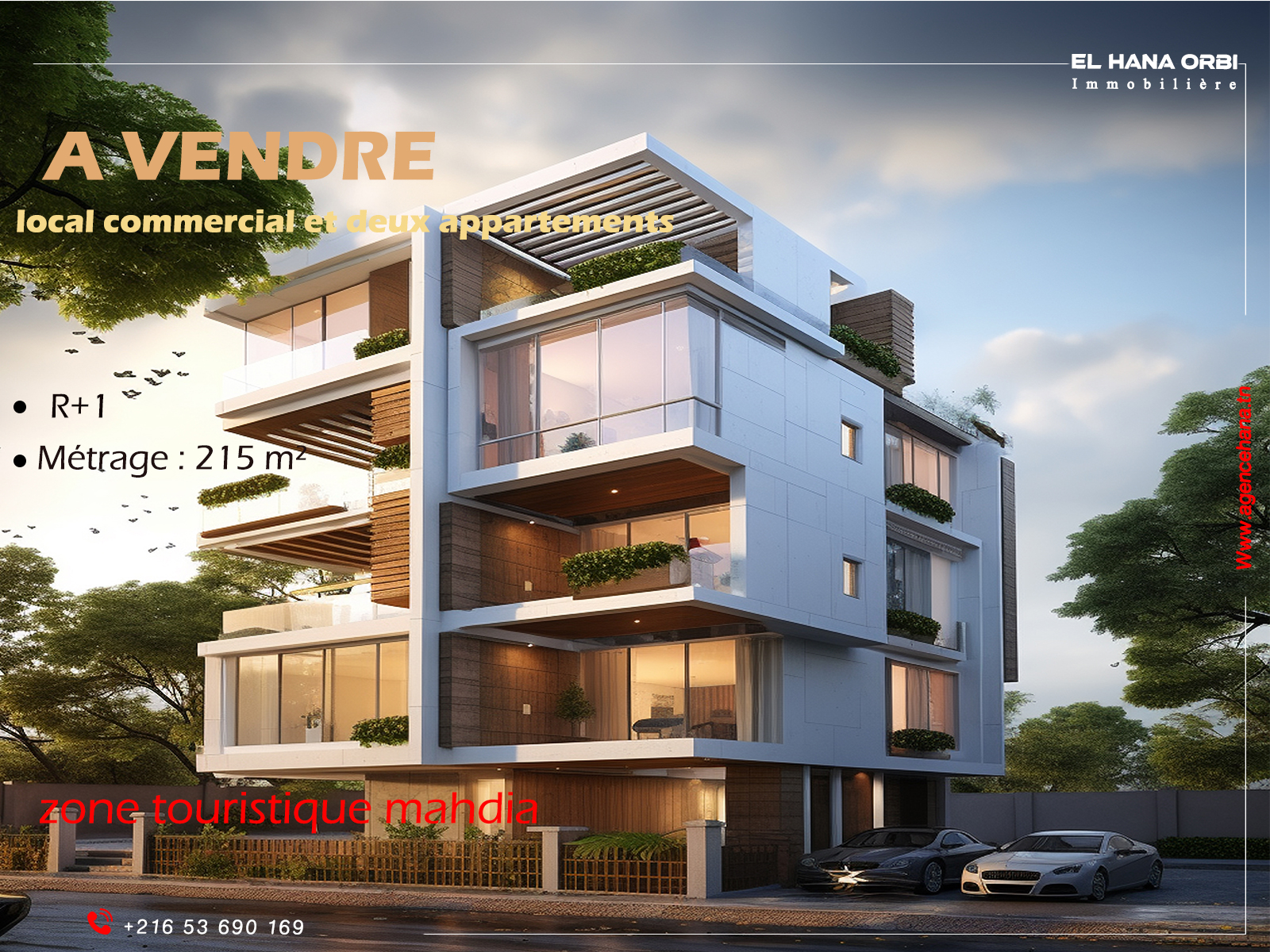 Vente Surfaces - Tunisie