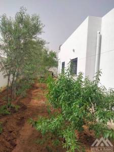 Raoued Borj Touil Vente Maisons Villa s4 borj touil ref162a