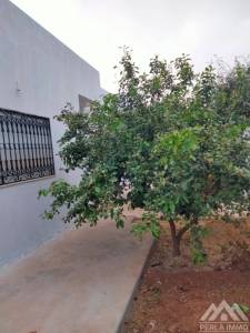 Raoued Borj Touil Vente Maisons Villa s4 borj touil ref162a
