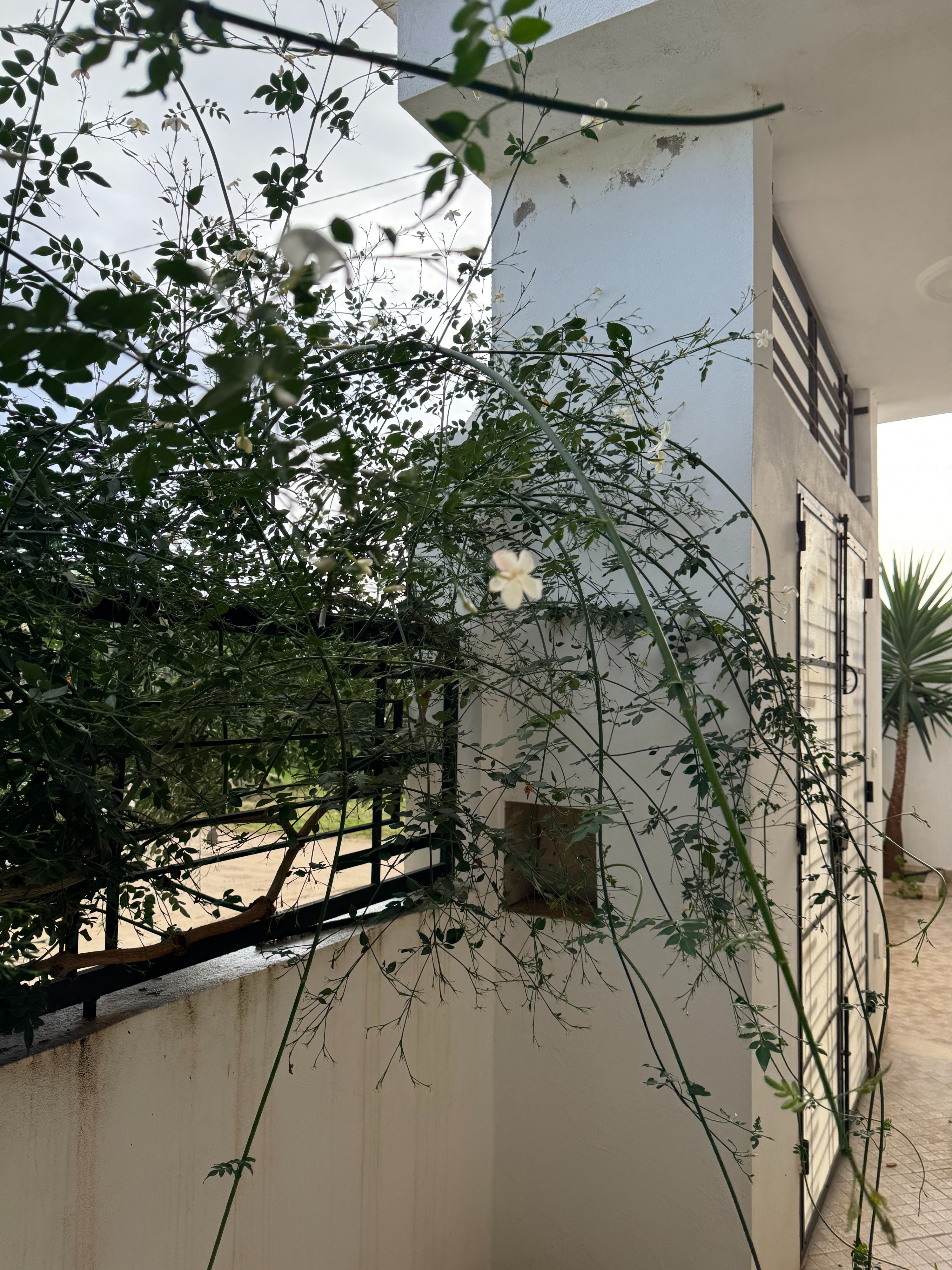 Vente Maisons - Tunisie