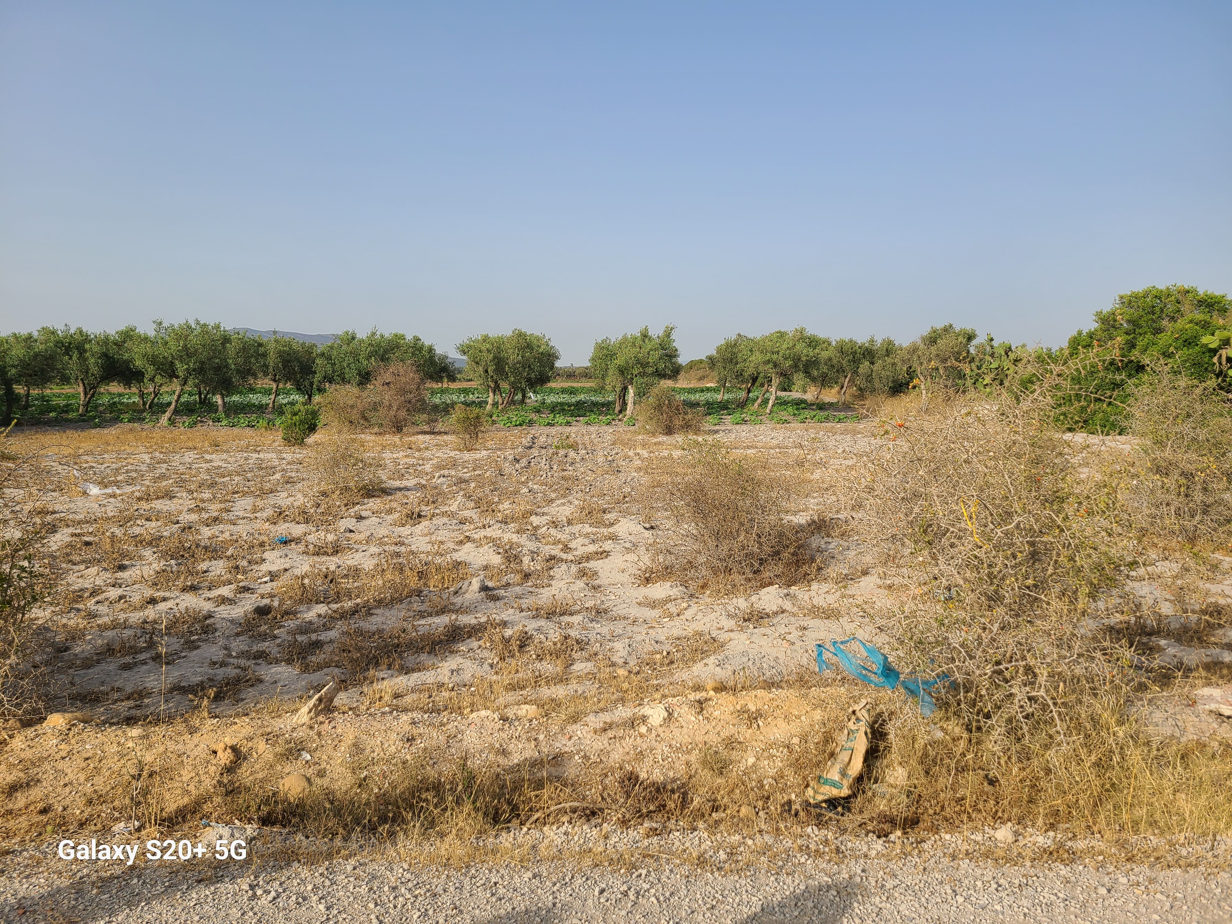 Soliman El Marja Vente Autre Ventre terrain constructible