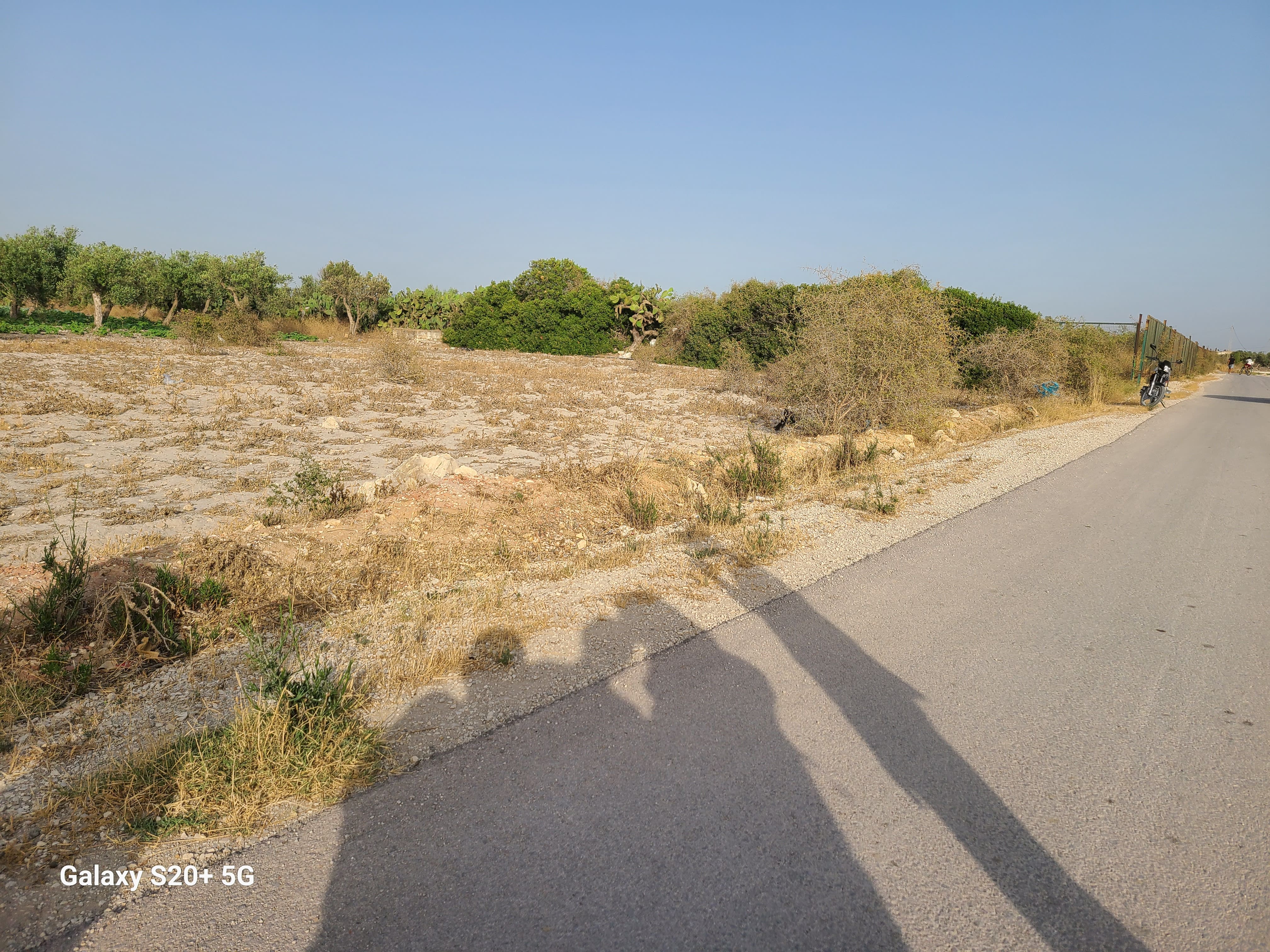 Soliman El Marja Vente Autre Ventre terrain constructible