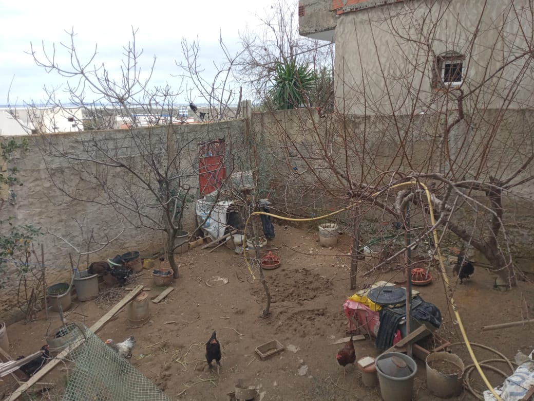 Vente Maisons - Tunisie