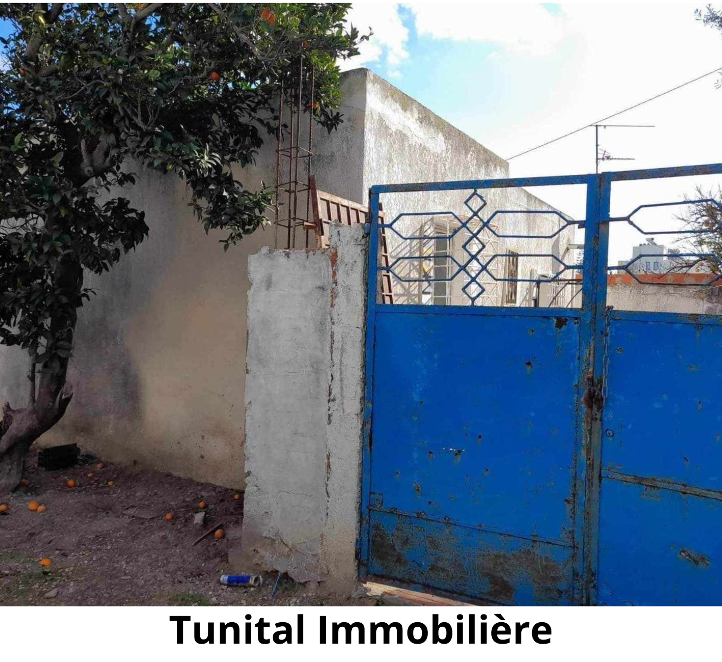 La Soukra Sidi Frej Vente Autre La soukra sidi fraj  studio  retaper ou  raser