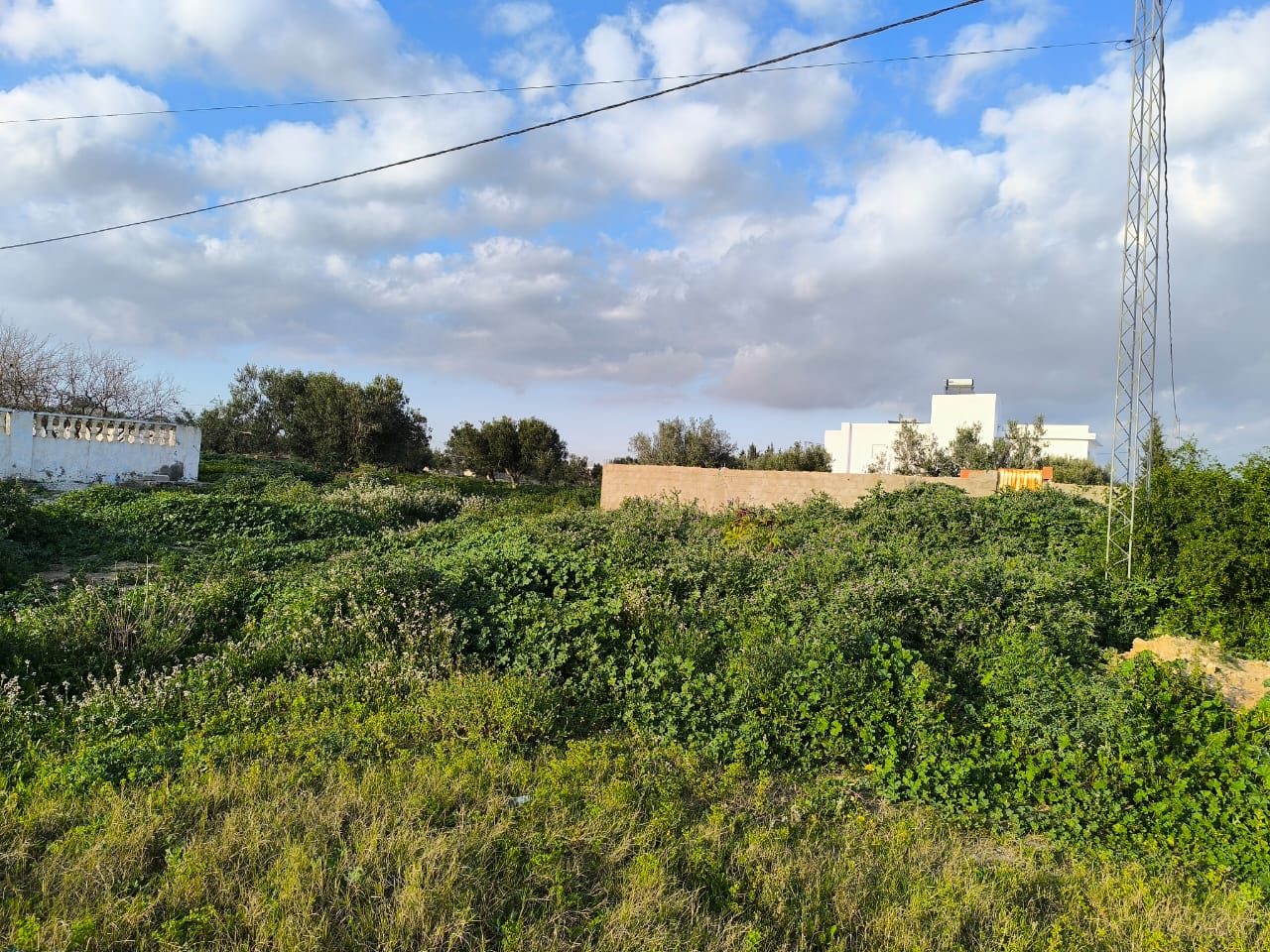 Vente Maisons - Tunisie
