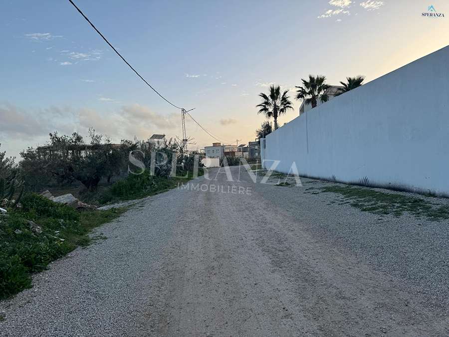 Vente Autre - Tunisie