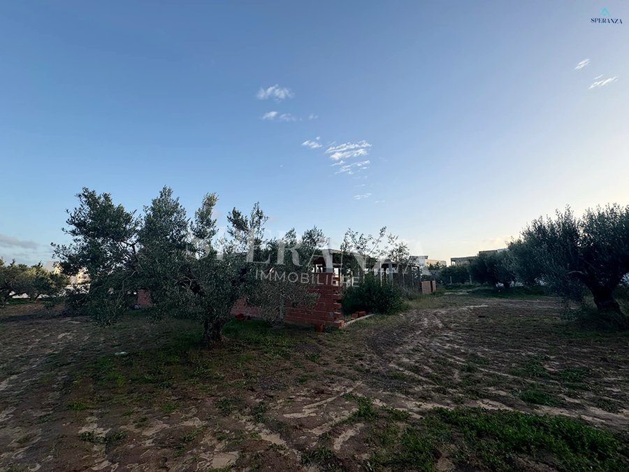 Hammamet Chaabet El Mrezga Vente Autre Terrain zoo