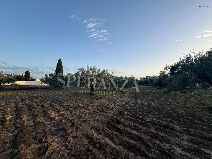 Hammamet Chaabet El Mrezga Vente Autre Terrain amell