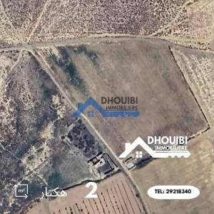 Vente Surfaces - Tunisie