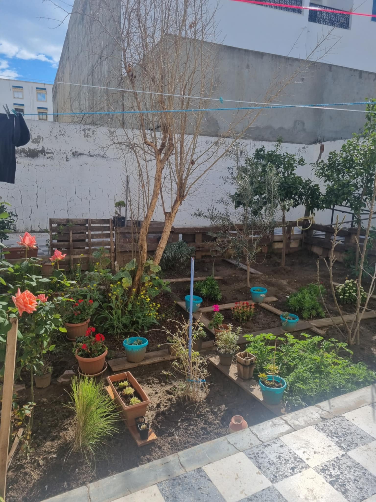 Vente Maisons - Tunisie