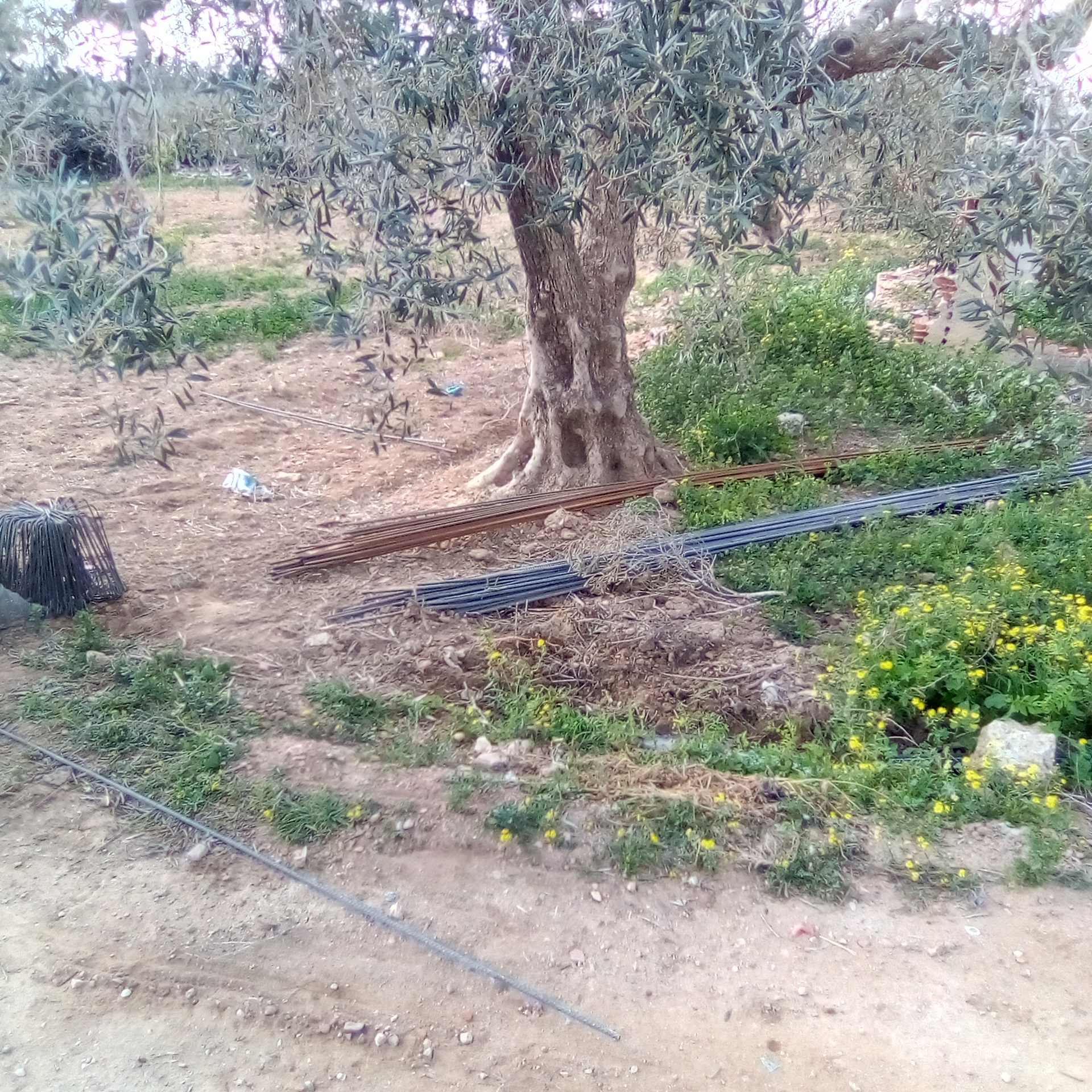Vente Autre - Tunisie