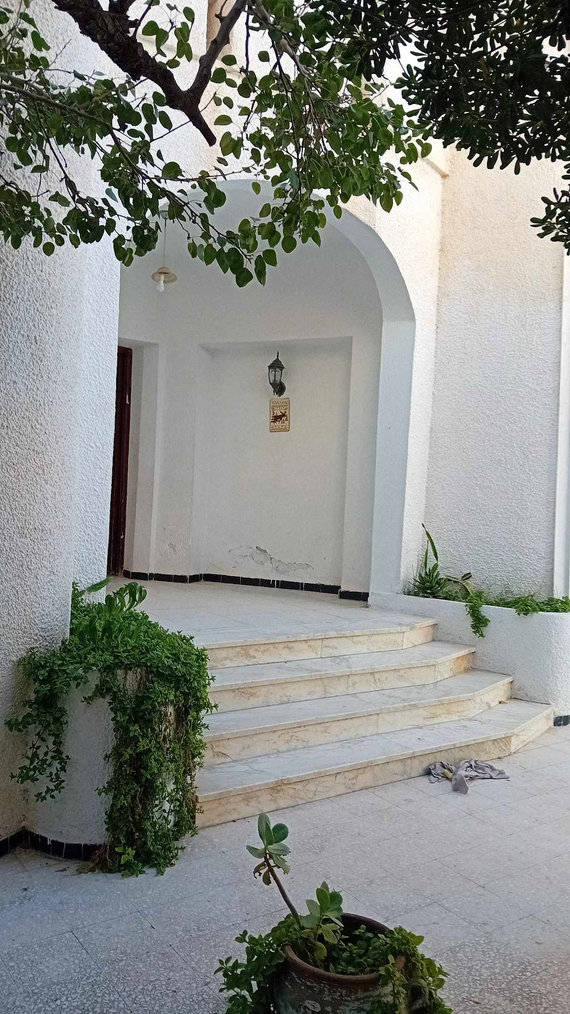 Raoued Cite Ennkhilet Vente Maisons Cite ennkhilet ariana