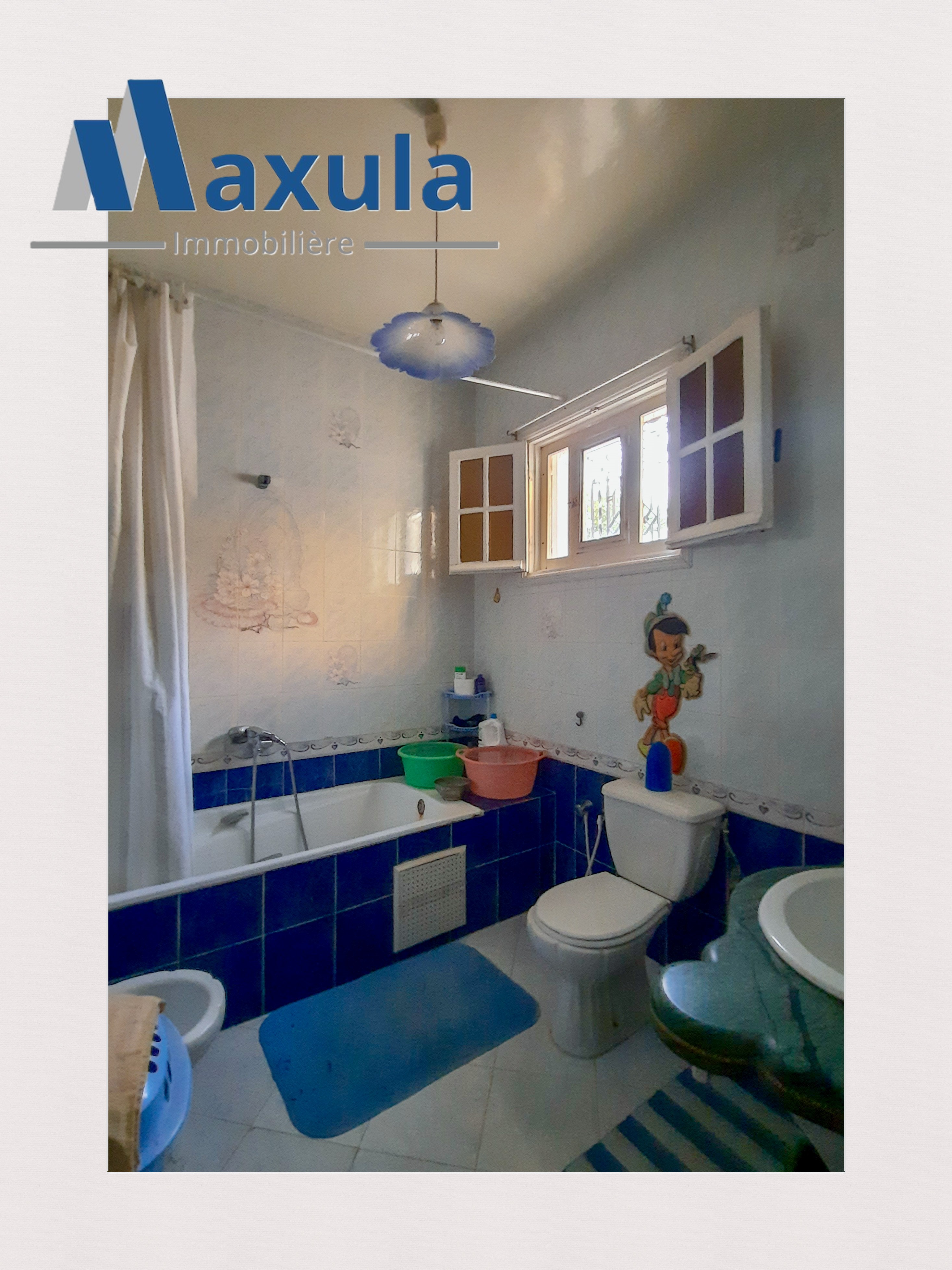 Vente Maisons - Tunisie