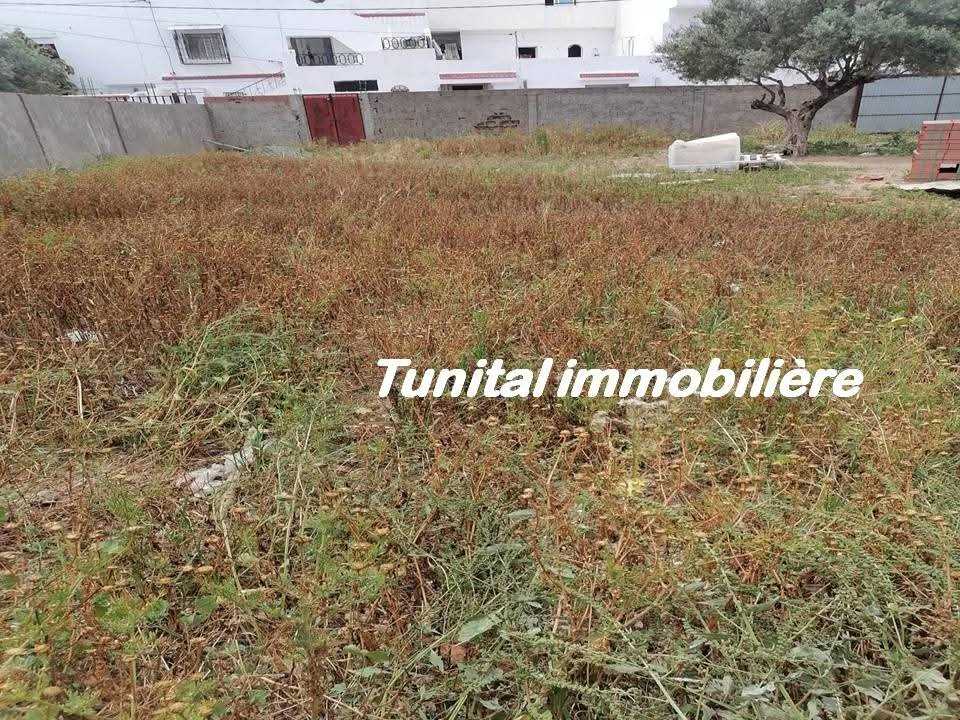 La Marsa Gammart Vente Autre Gammarth village terrain cltur bon emplacement
