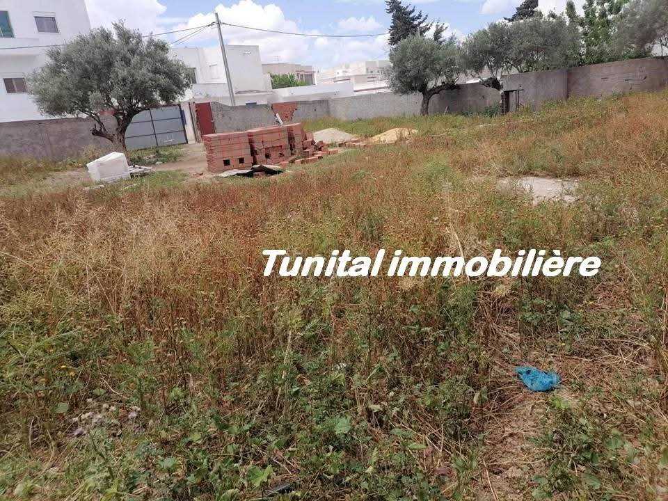 La Marsa Gammart Vente Autre Gammarth village terrain cltur bon emplacement