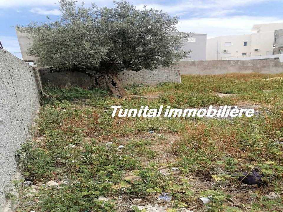 La Marsa Gammart Vente Autre Gammarth village terrain cltur bon emplacement