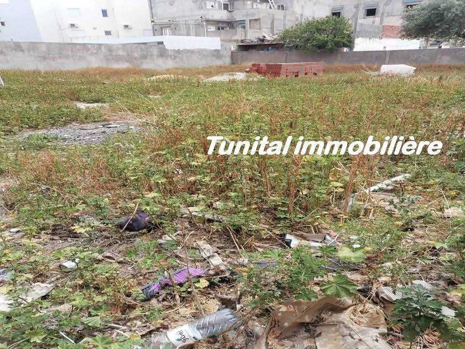 La Marsa Gammart Vente Autre Gammarth village terrain cltur bon emplacement