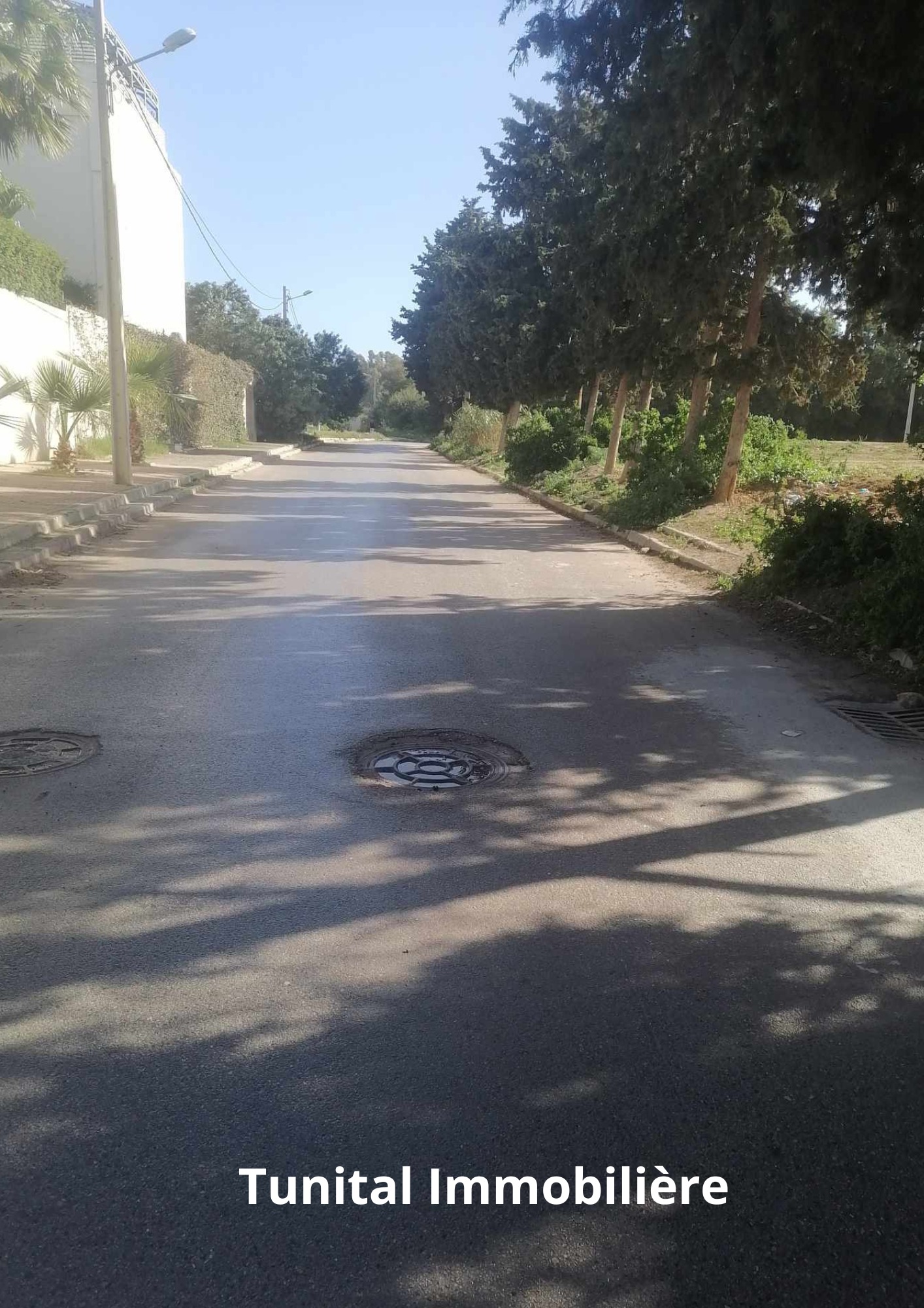 Vente Autre - Tunisie