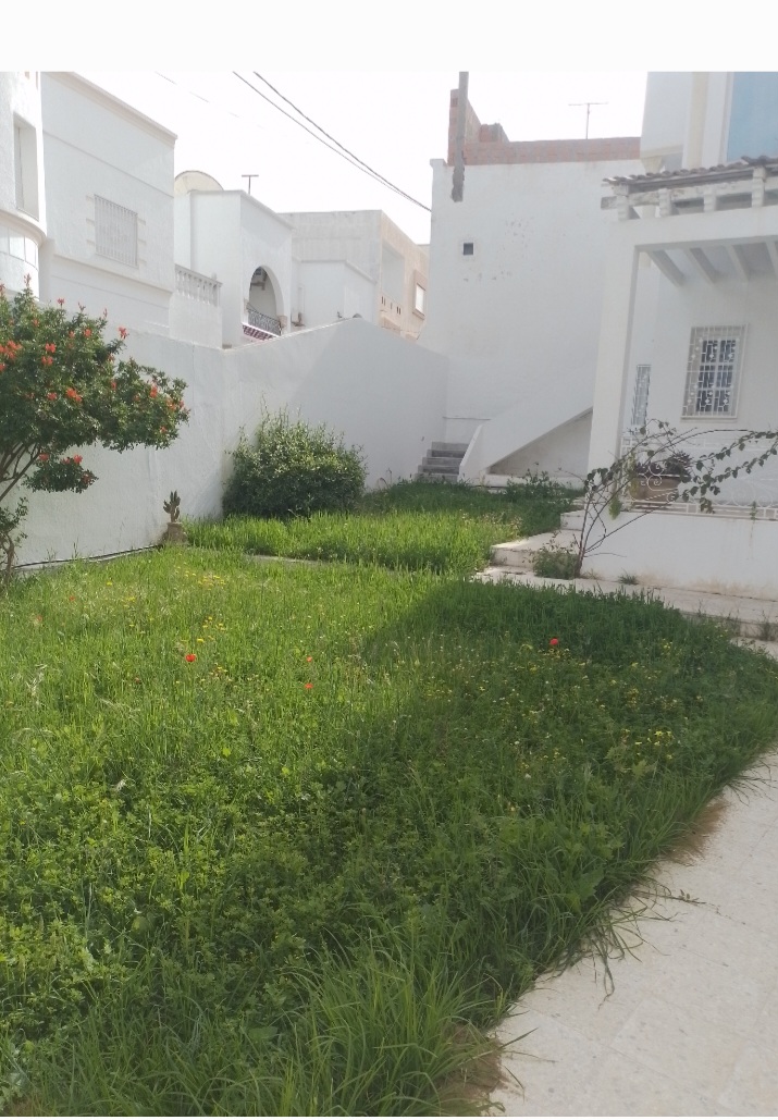 Hammamet Barraket Essahel Vente Maisons Deux maisons bareket sahel hammamet
