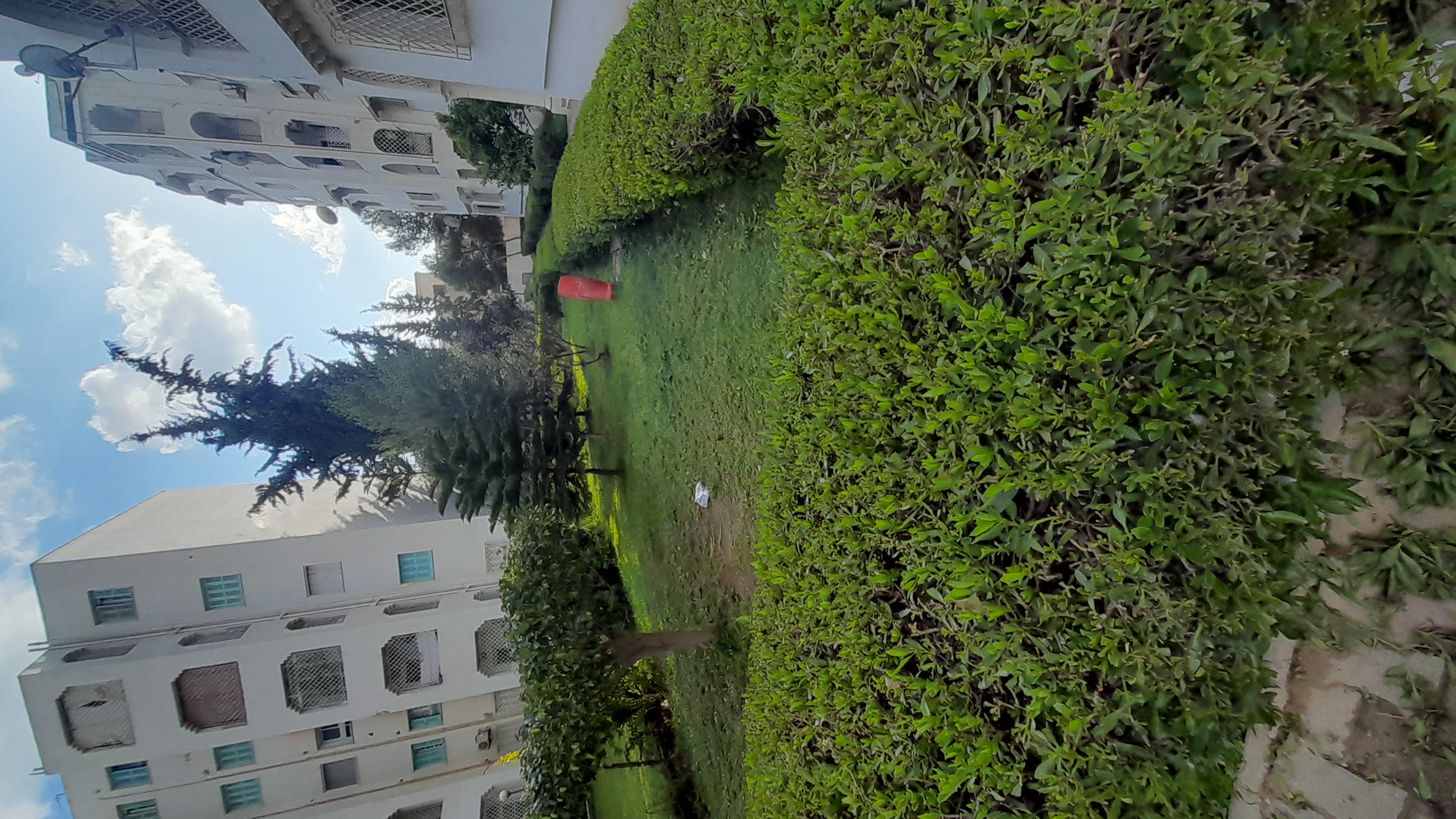 La Soukra Cite El Behi Ladghem Vente Appart. 4 pices Appartement salon et 3 pices