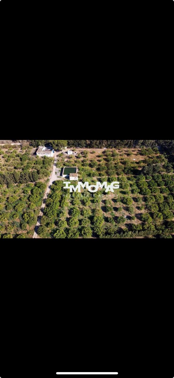 Soliman Soliman Vente Autre Ferme sliman