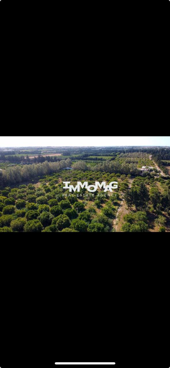 Soliman Soliman Vente Autre Ferme sliman