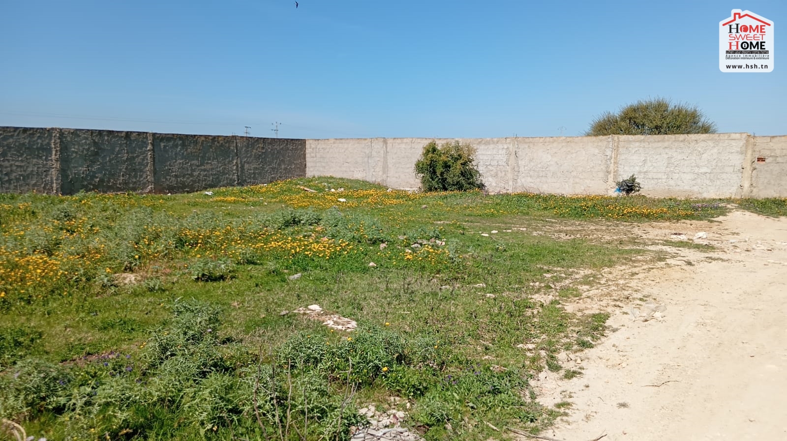 Vente Surfaces - Tunisie