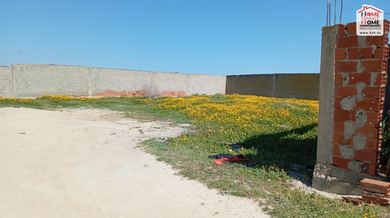 Vente Surfaces - Tunisie