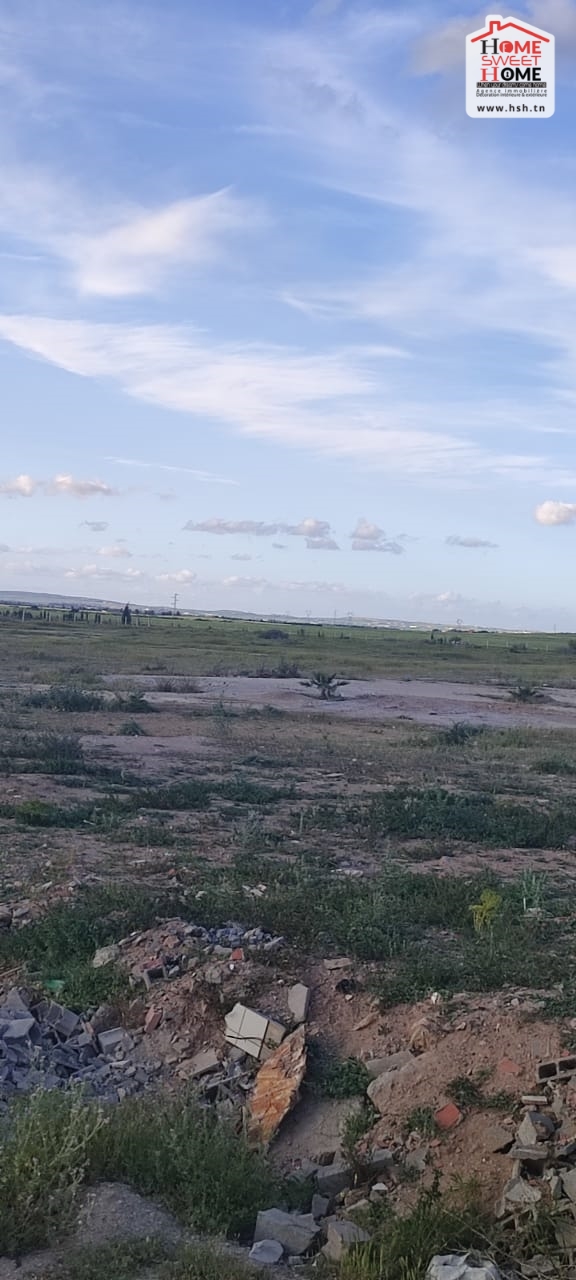 Zaghouan Zaghouan Vente Surfaces Terrain industriel flora   jbel el ouest