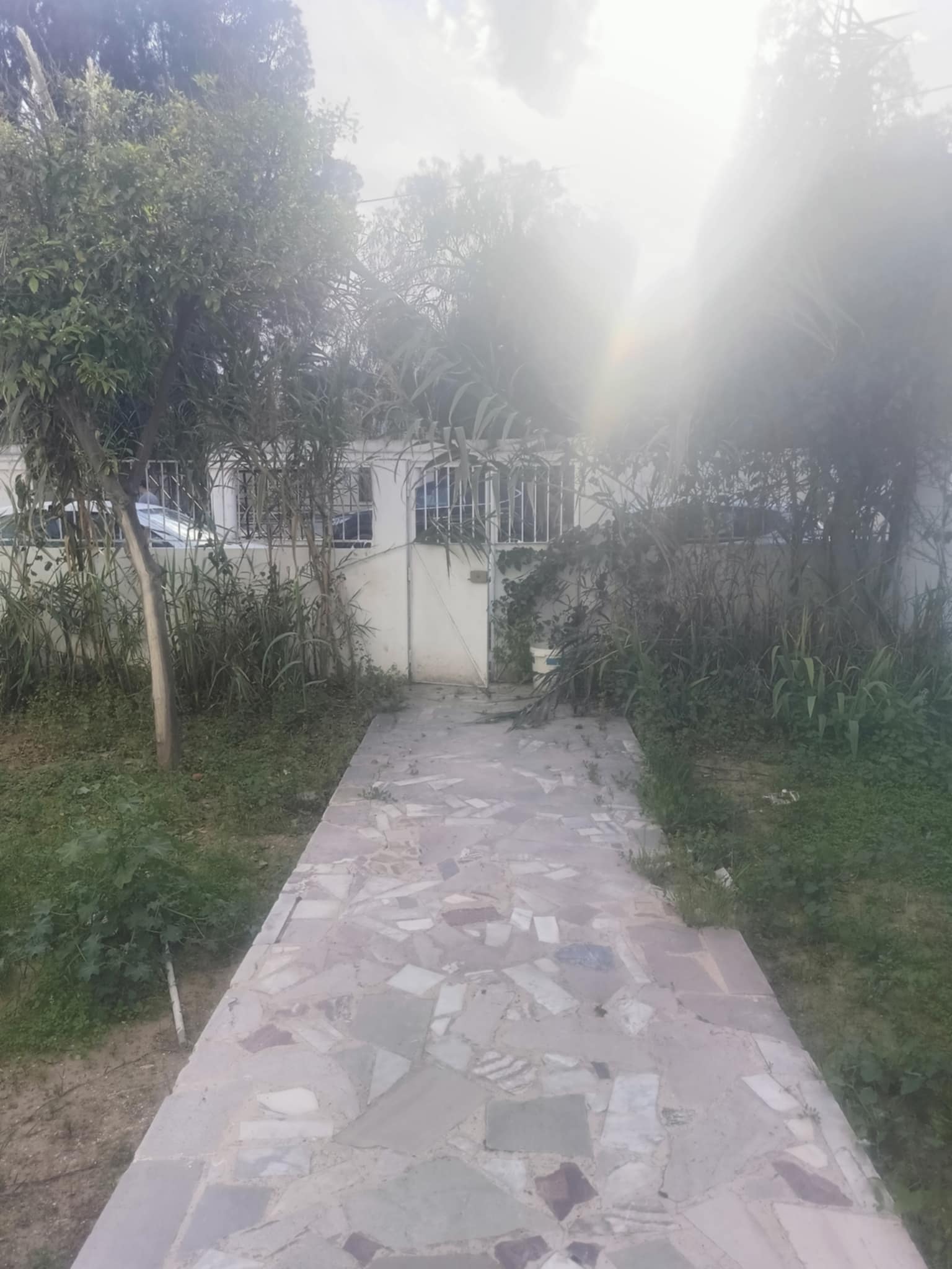 Vente Maisons - Tunisie