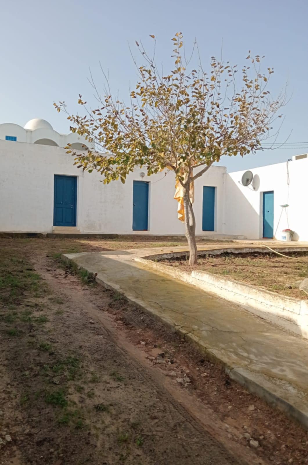 Kelibia Dar Allouche Vente Maisons Maison arab pres de la plage 500m