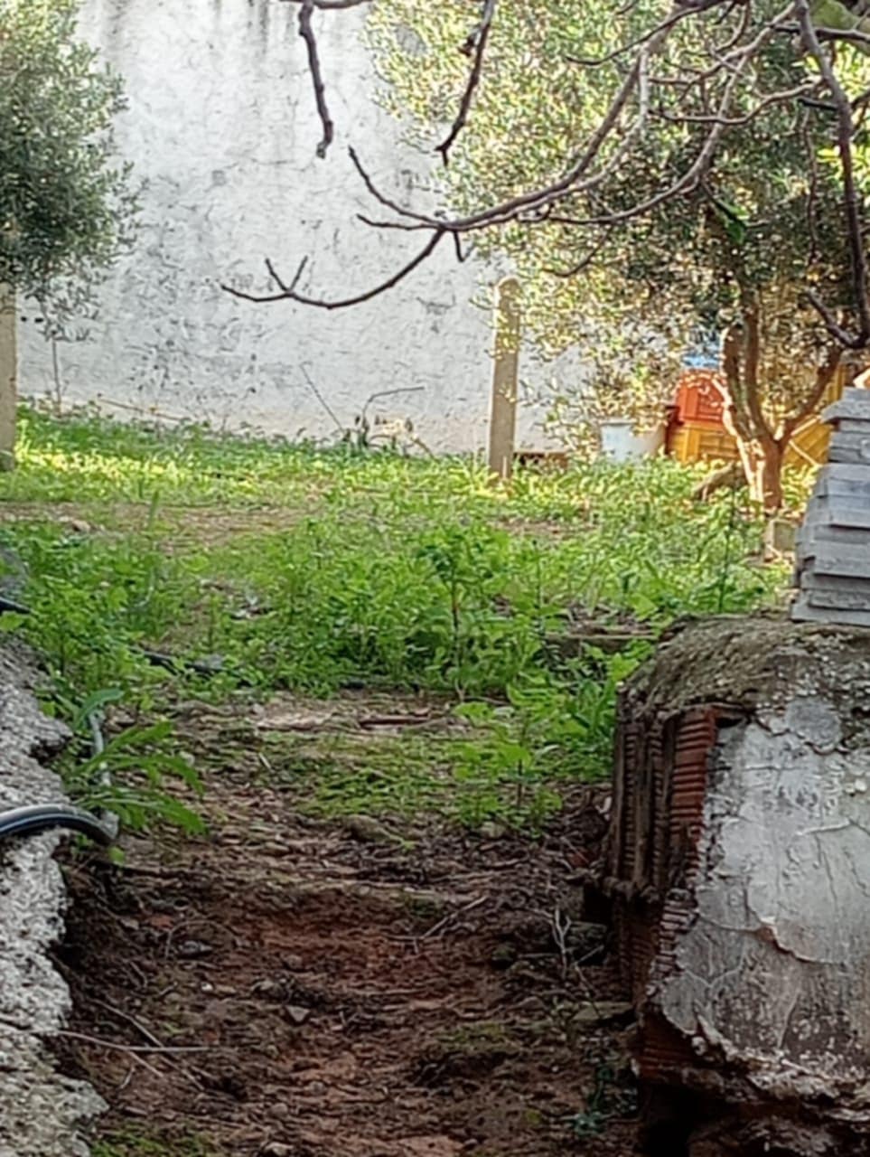 Vente Maisons - Tunisie