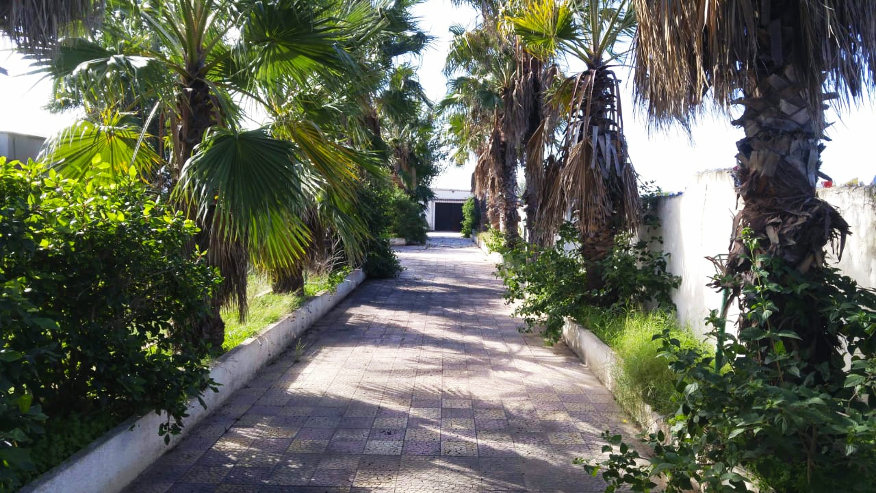 Soliman Soliman Vente Maisons Une grande villa sur un terrain de 5363