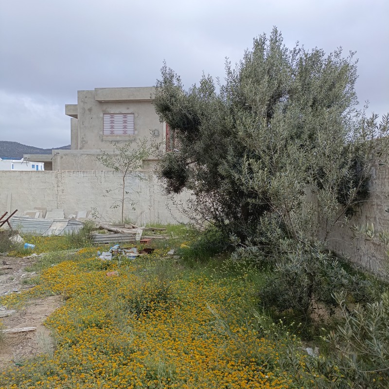 Hammamet Hammamet Vente Appart. 3 pices Av maison 300m non fini  hammamet nord