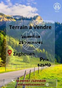 Vente Surfaces - Tunisie