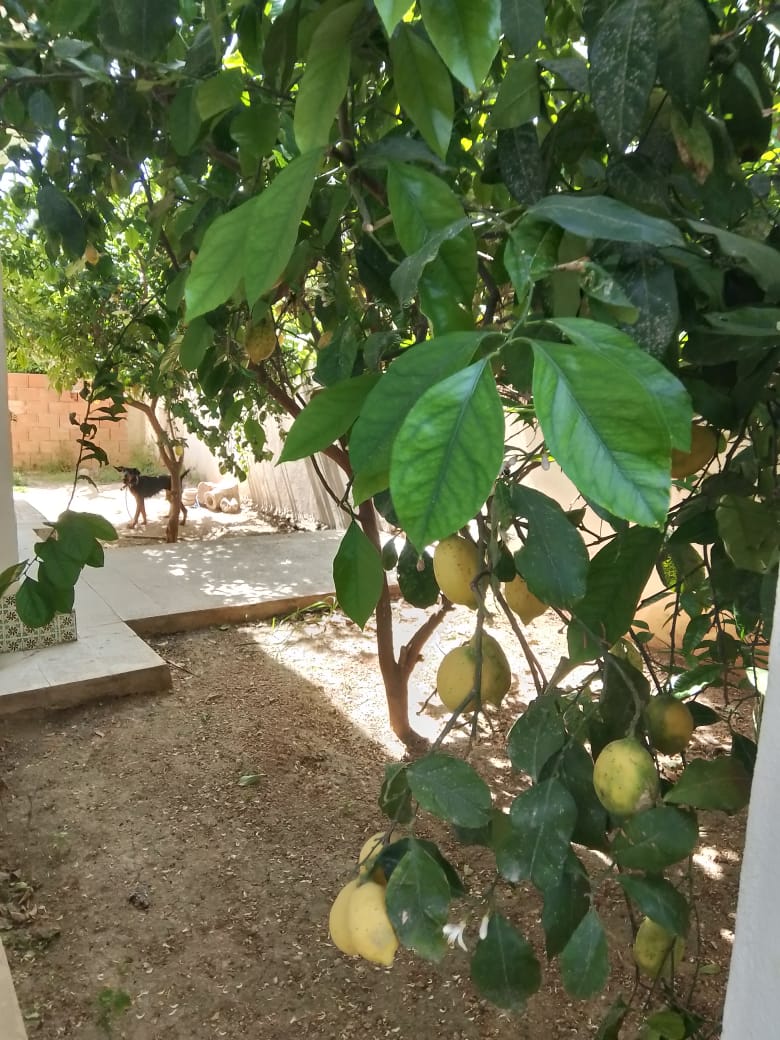 El Mourouj&nbsp;El Mourouj&nbsp;Vente&nbsp;Maisons&nbsp;Maison au mourouj 2