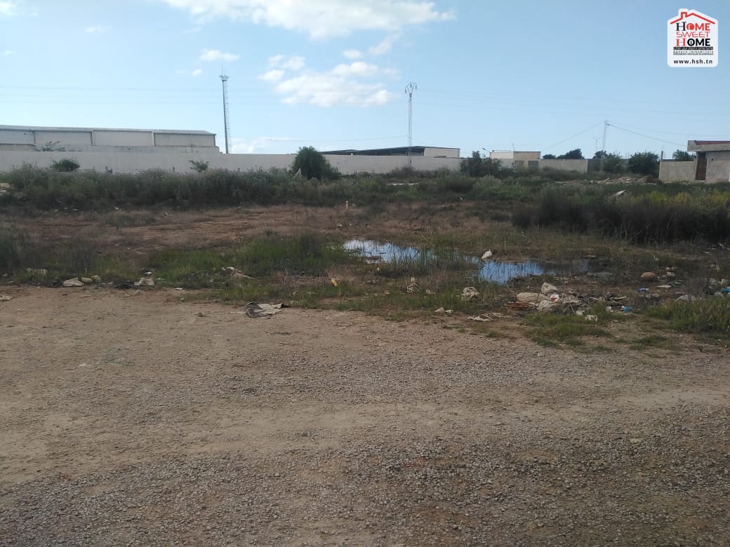 Soliman Soliman Vente Surfaces Terrain villa espoir   soliman