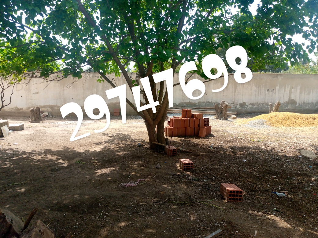 Vente Autre - Tunisie