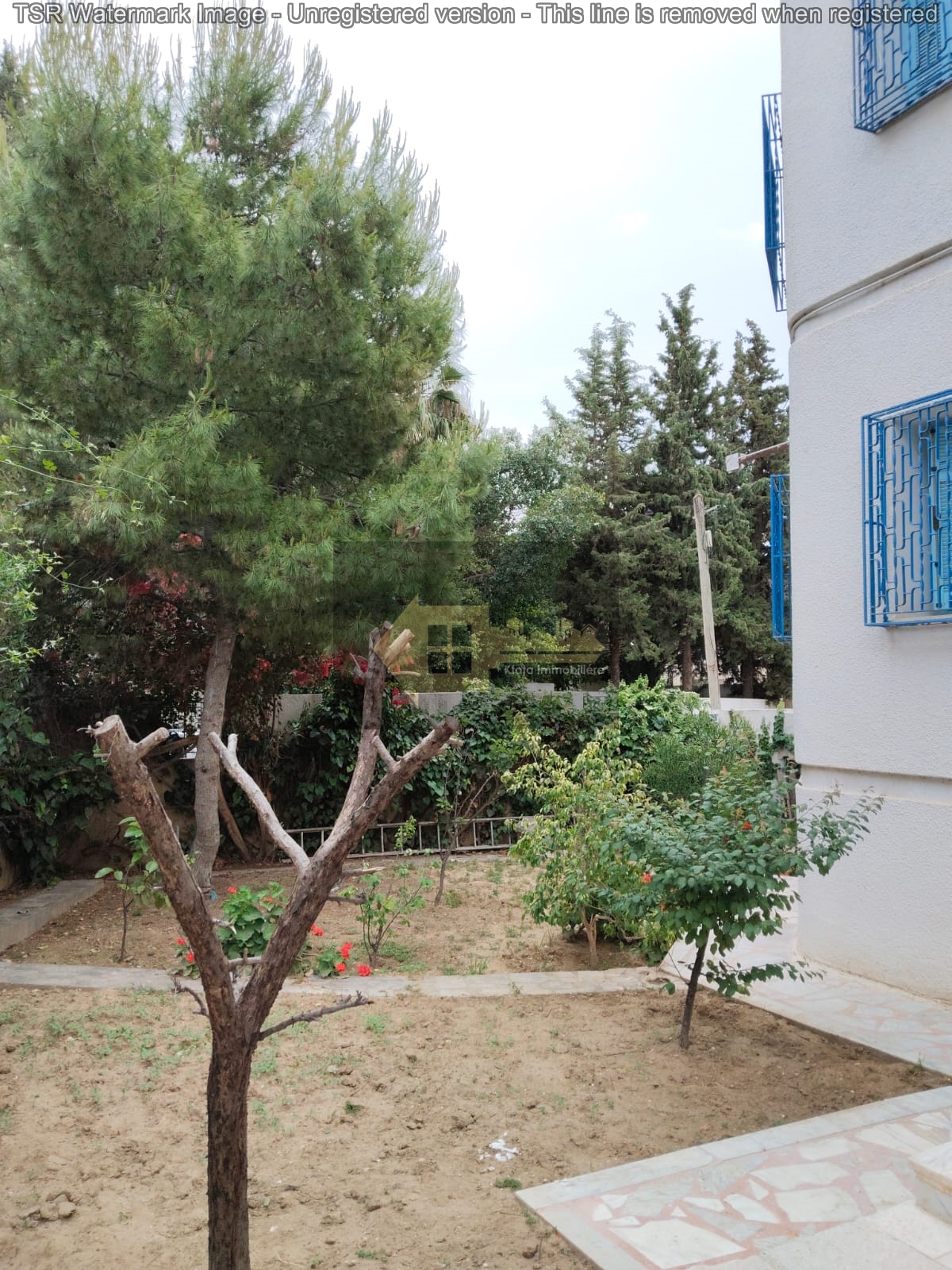 Ariana Ville El Menzah 7 Vente Maisons Menzah7 vnt villa de coin 600m2